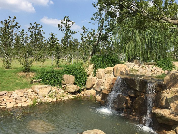 巴蜀傳香餐飲連鎖有限公司（無錫宜家店）